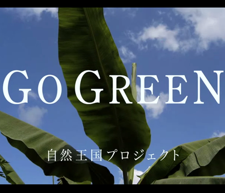 スミフルチャンネル