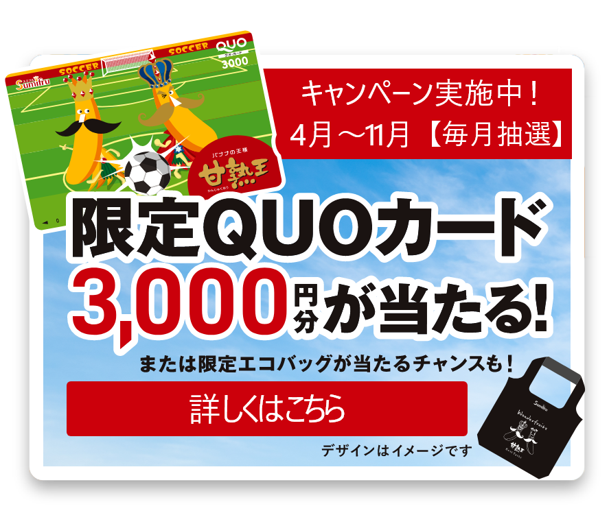キャンペーン実施中！４月～１１月【毎月抽選】限定QUOカード 3000円分が当たる！