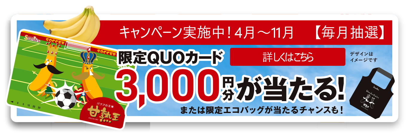 キャンペーン実施中！４月～１１月【毎月抽選】限定QUOカード 3000円分が当たる！