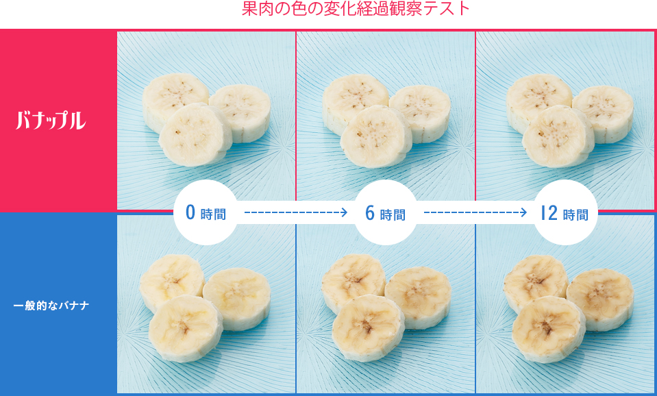 果肉の色の変化経過観察テスト