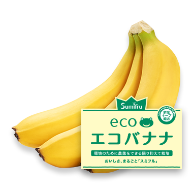 熟撰バナージュ