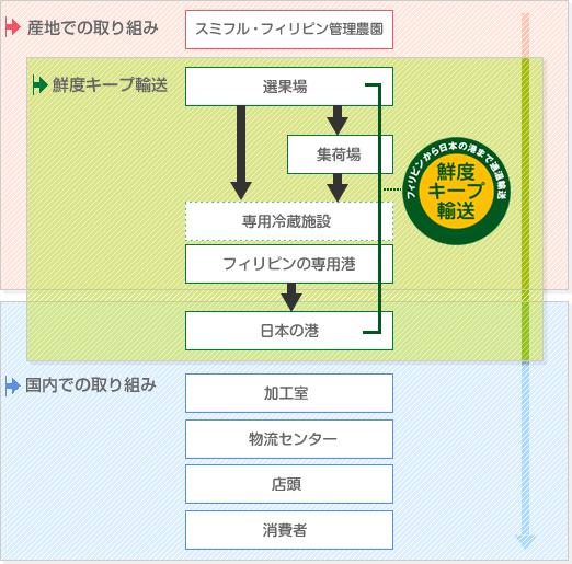 鮮度キープ輸送